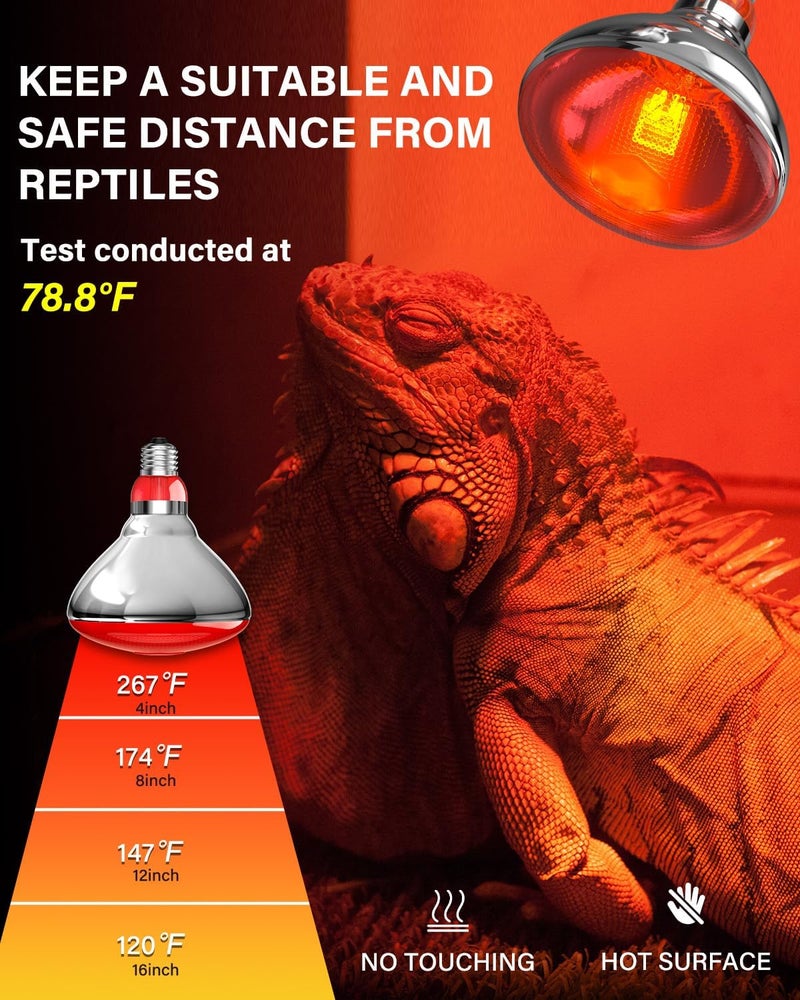 TobeBright مصابيح حرارة للدجاج في حظيرة الدجاج مع سلك توصيل، مفتاح تشغيل/إيقاف، 150 واط E26 مصباح حرارة زواحف ضوء أحمر تحت الحمراء للدجاج، الطيور، البط، الكلاب، القطط - Image 5